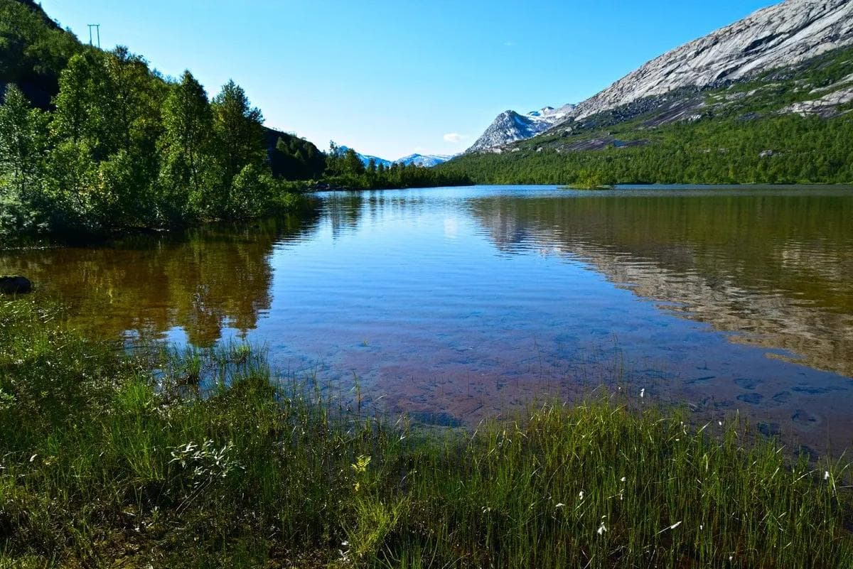 Gjerdalen i Sørfold - tursiden 8