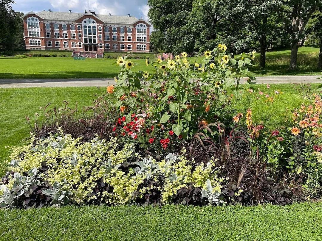 Ås og universitetsparken - "Sykling fra Ås" 2025