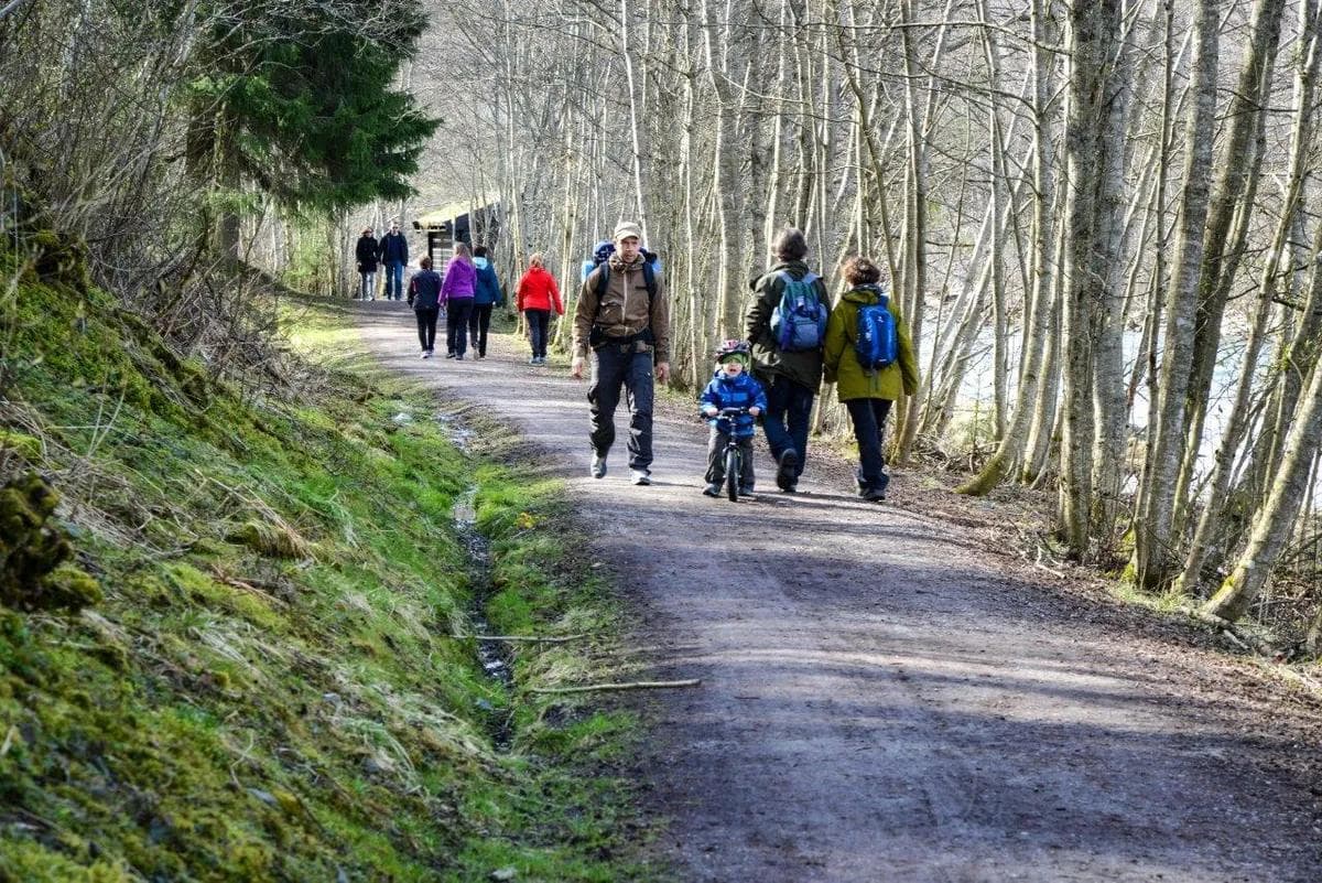Turstien langs Nidelva brukes av mange turgåere. På sykkel må man vise hensyn. Sti med en rekke turgåere, stien er omkranset av trær.