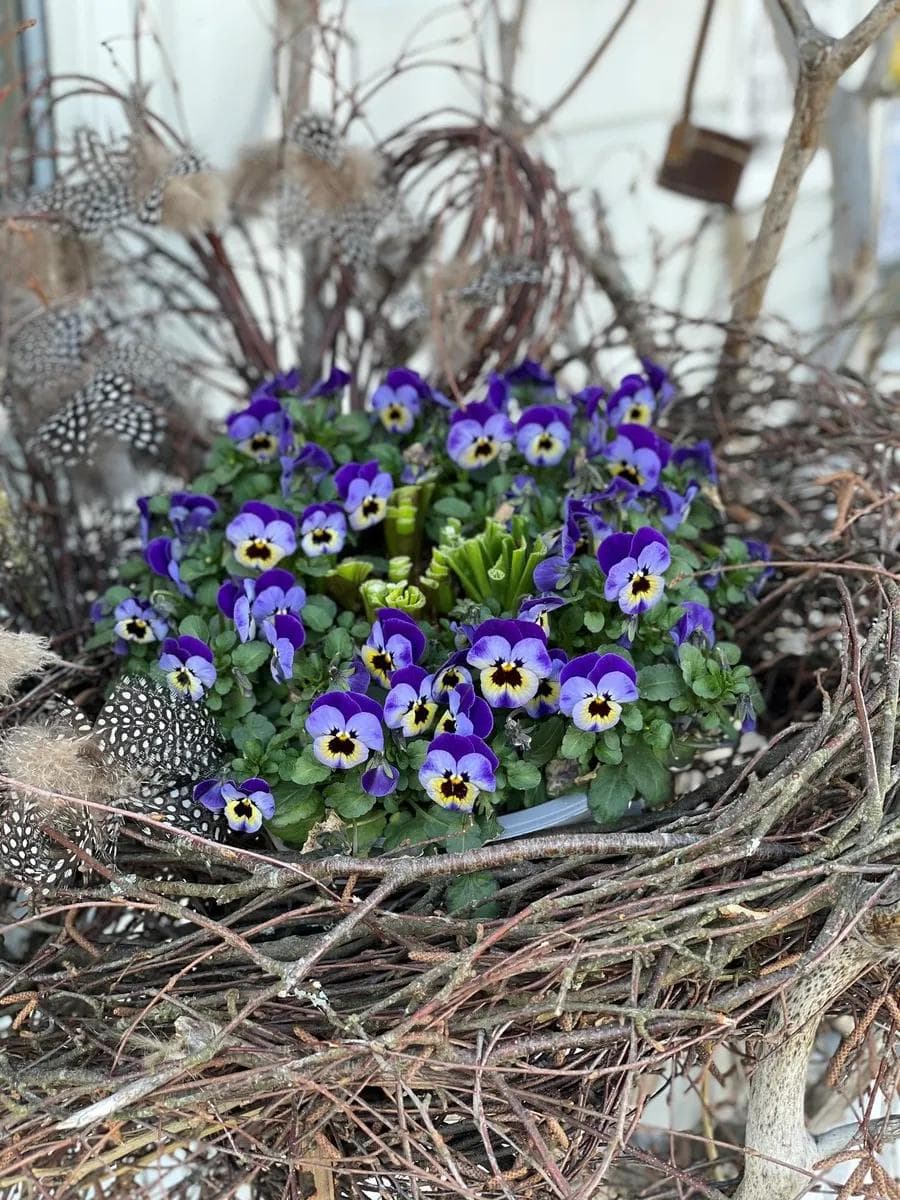 Unionsleden Orje blomster