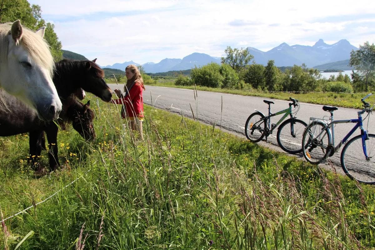 En person står ved en vei og hilser på flere hester bak et gjerde, med to sykler parkert i veikanten og fjell i bakgrunnen.