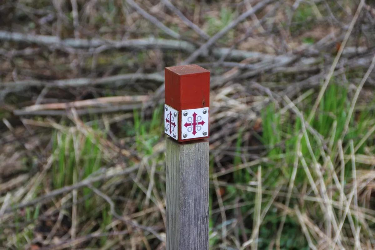 GS Trondheim Nidelvstien-5-foto-nils-thommesen