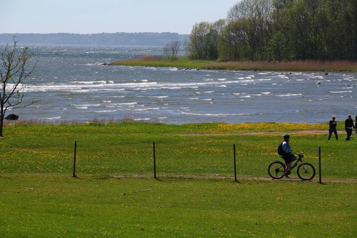 Jeløya rundt - Øyvind Wold 2-min