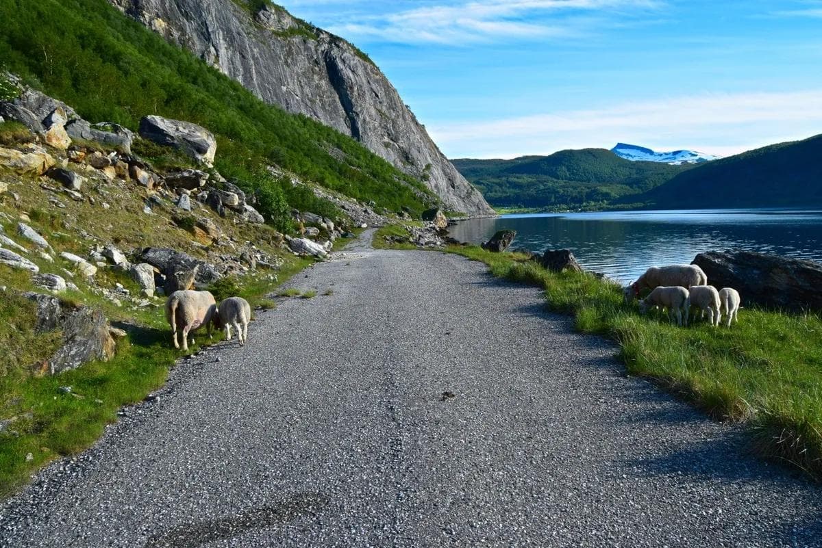 Gammelveien mot Misvær - tursiden 1