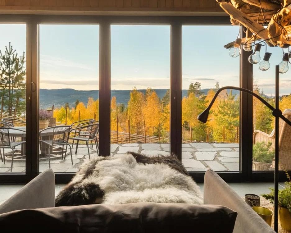 Mjøsli Lodge Vinterhagen