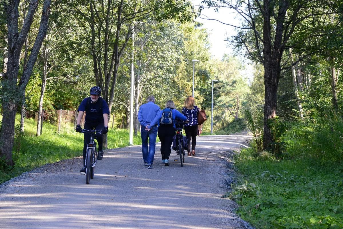 GS Trondheim Berg – Moholt – Brøsetdalen – Leangen – Rotvollneset-1