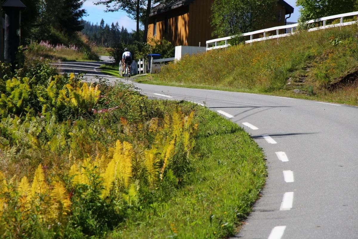 Mjøstråkk Lillehammer - Gjøvik - Øyvind Wold 2-min