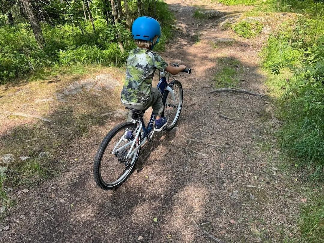 Hebekkskogen fra Da Vinci-broa - "Sykling fra Ås" 2025