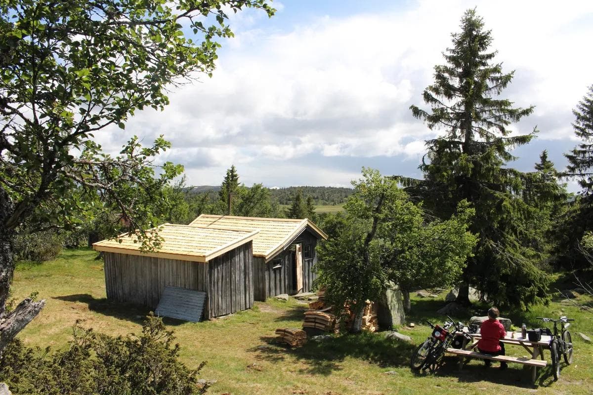Sjusjøen - Gjesbuåsen-runden - Øyvind Wold 2-min