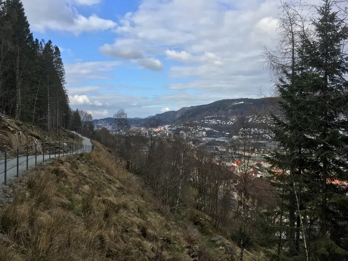 GS-Bergen-Løvstien Utsikt-over-Fjellveien