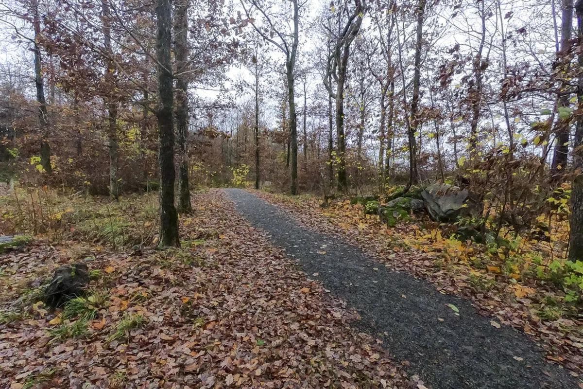 Museusruta i Kristiansand4_Øyvind Wold