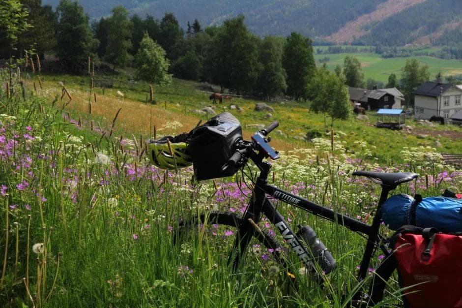 NR5 Numedalsruta_Forside_Idyllisk-i-Smådoldalen-940x626