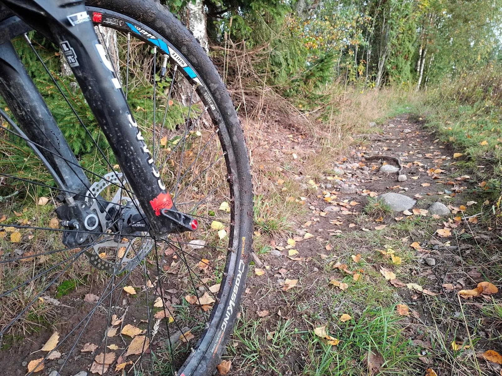 Nærbilde av forhjulet på en terrengsykkel som står på en skogssti. Dekket er av typen Continental CrossKing og er skittent av gjørme, mens bakken rundt er dekket av brunt høstløv, gress og små steiner som leder innover i en tett skog.