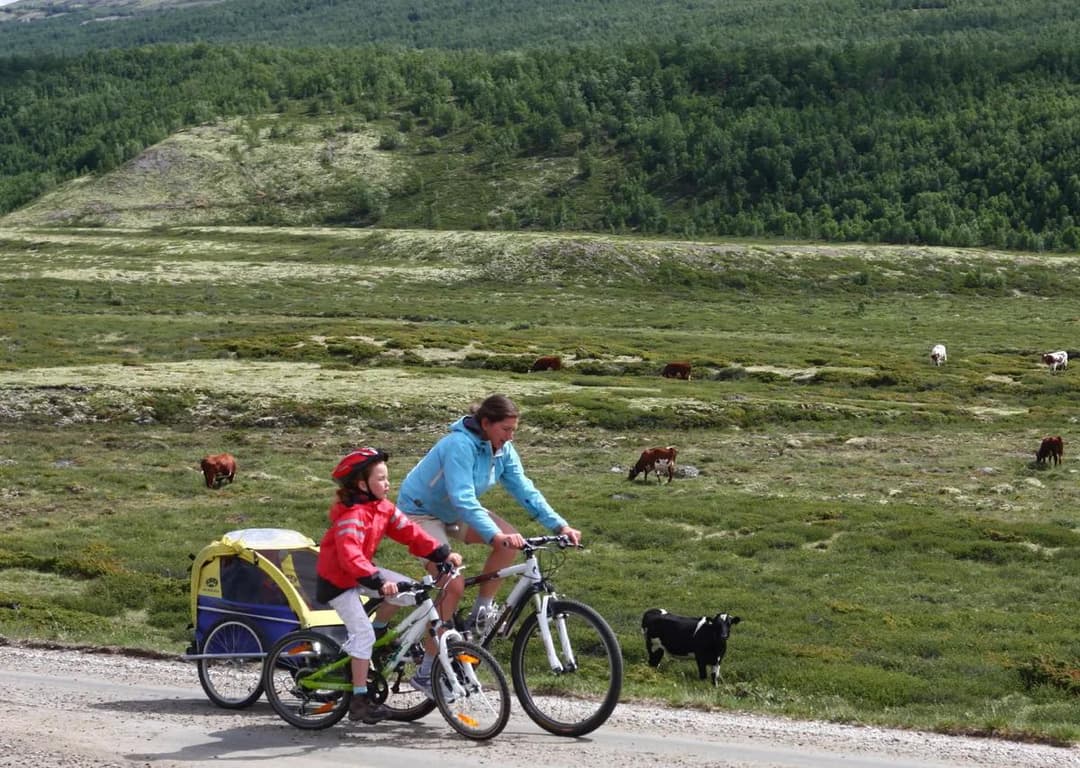Tour de Dovre: Grimdalen - Hjerkinn