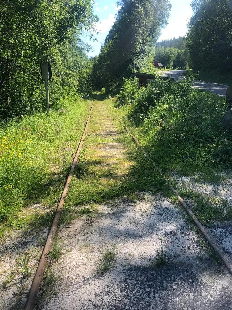 Nasjonal sykkelrute 5 Numedalsruta: Fra Smådøldalen til Larvik – Den-nedlagte-Numedalsbanen-er-synlig-langs-ruta
