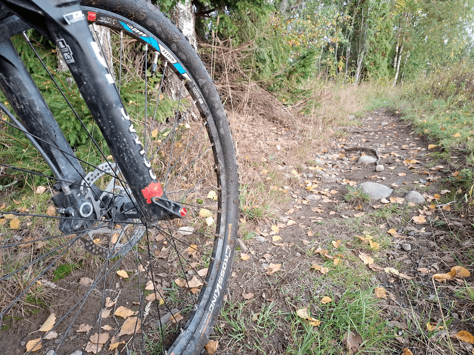 Nærbilde av forhjulet på en terrengsykkel som står på en smal sti med høstløv og trær i bakgrunnen.