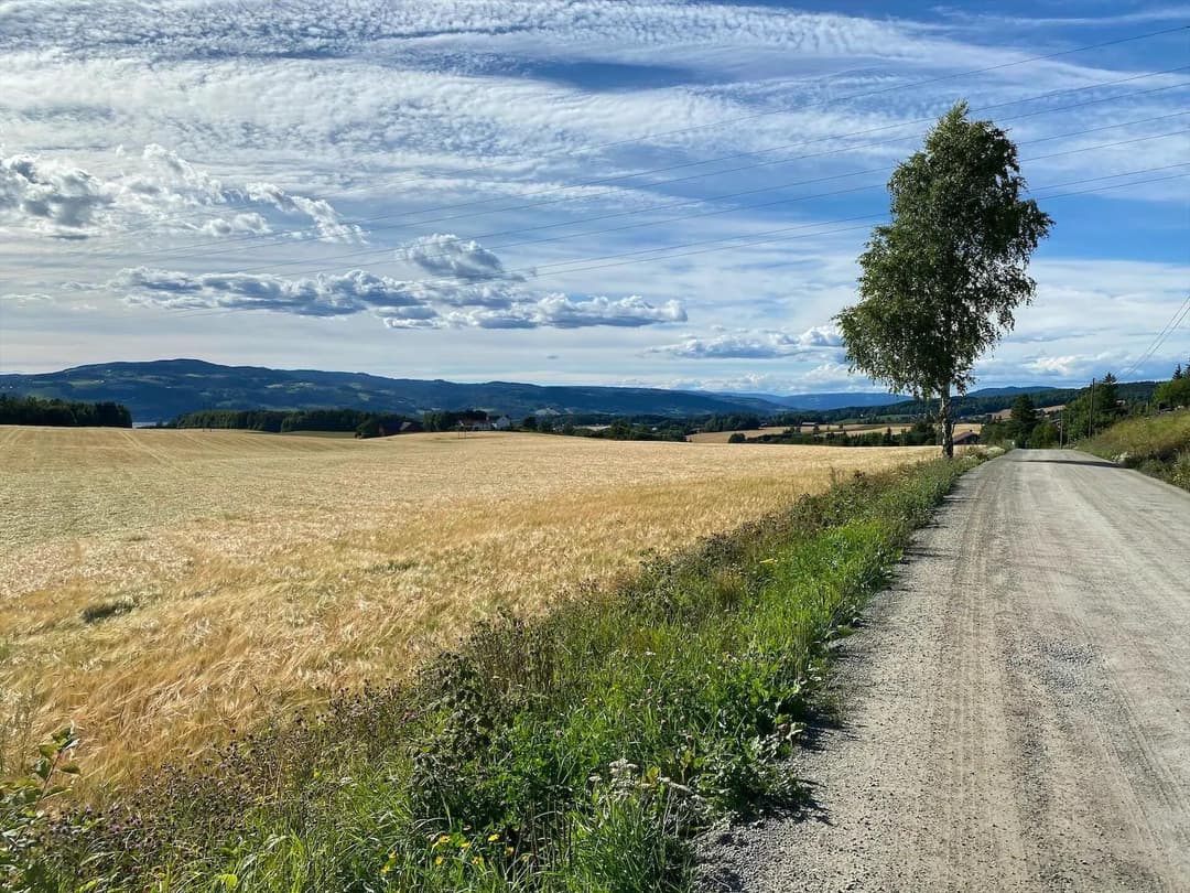 Nasjonal Sykkelrute 7, Pilegrimsruta, Nidaros - Hamar - Oslo - Halden