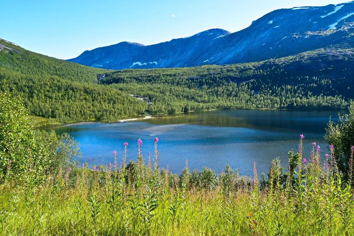Gjerdalen i Sørfold - tursiden 5