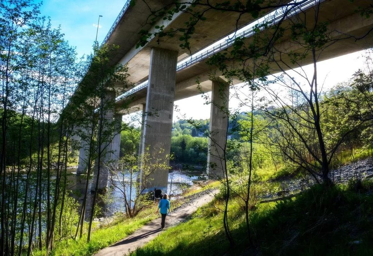 En person går på en Nidelvstien under Kroppanbrua ved siden av vann og grønne trær.