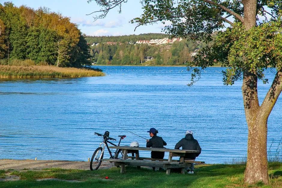 Grønne-sykkelruter-Nedre-Glomma-Langs-Tunevannet-opp-til-Lundgårdsvei-6