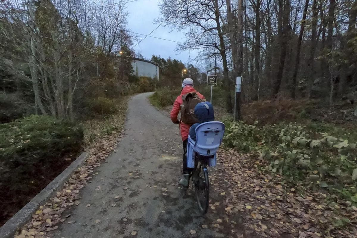 Haumyrheia_Ronatoppen2 i Kristiansand_Øyvind Wold