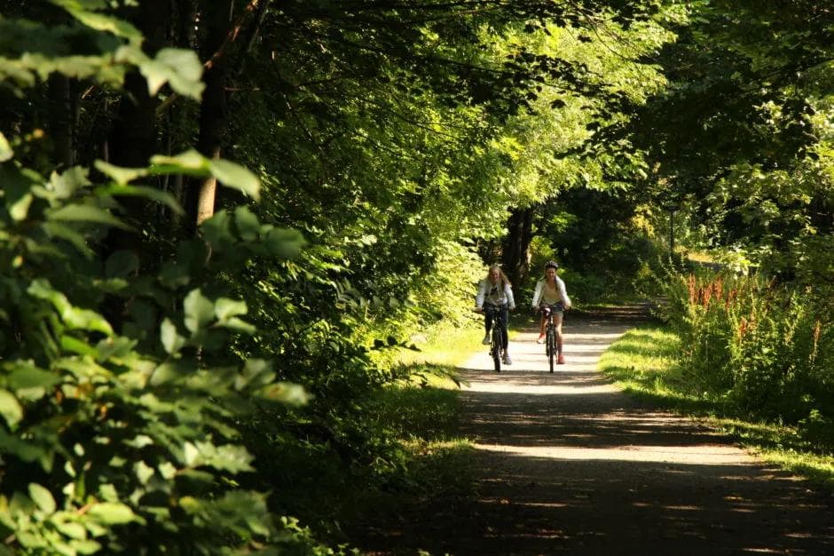 Green cycling tours