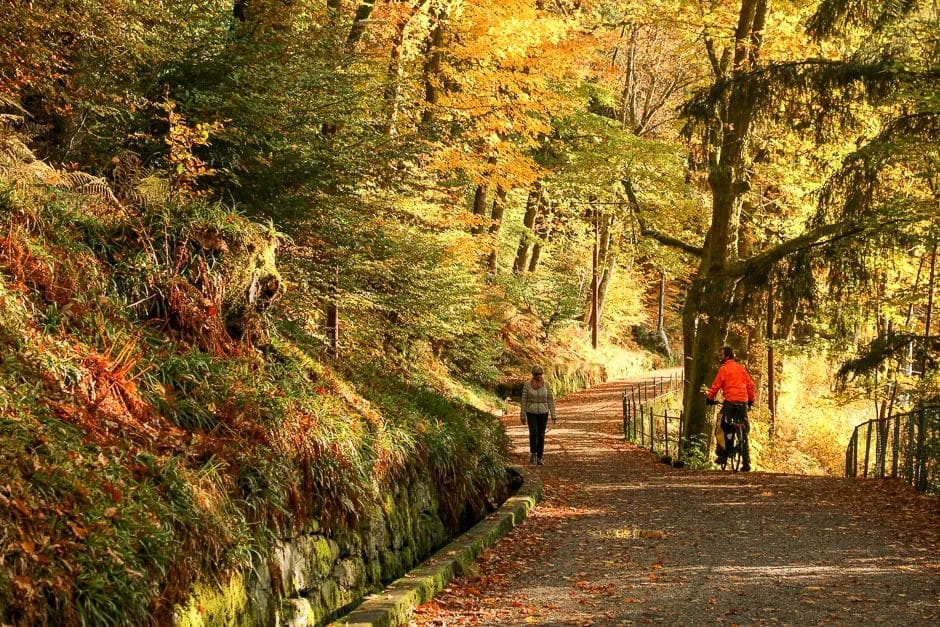 Grønne Sykkelruter, Bergen: Fjellveien fra Sandviken til Bellevue