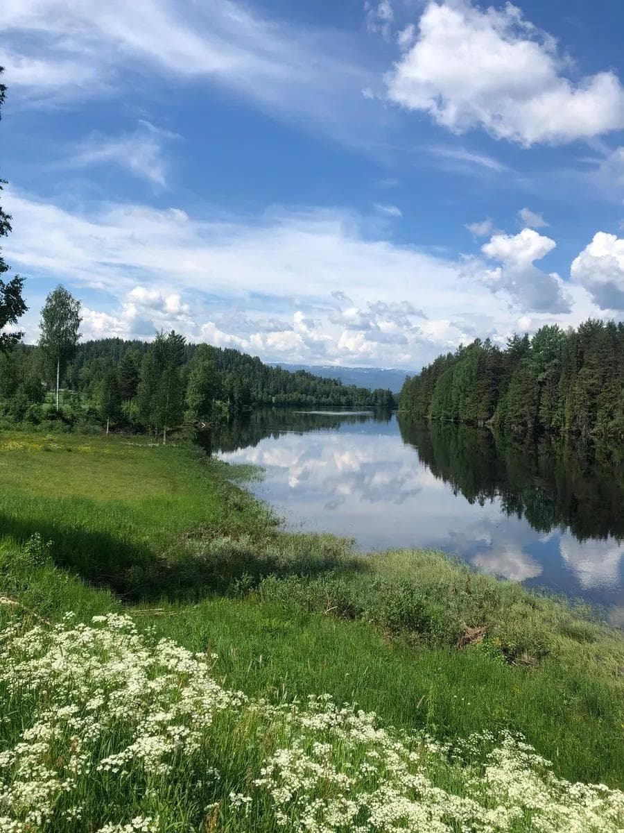 Nasjonal sykkelrute 5 Numedalsruta: Fra Smådøldalen til Larvik – Langs-Numedalslågen