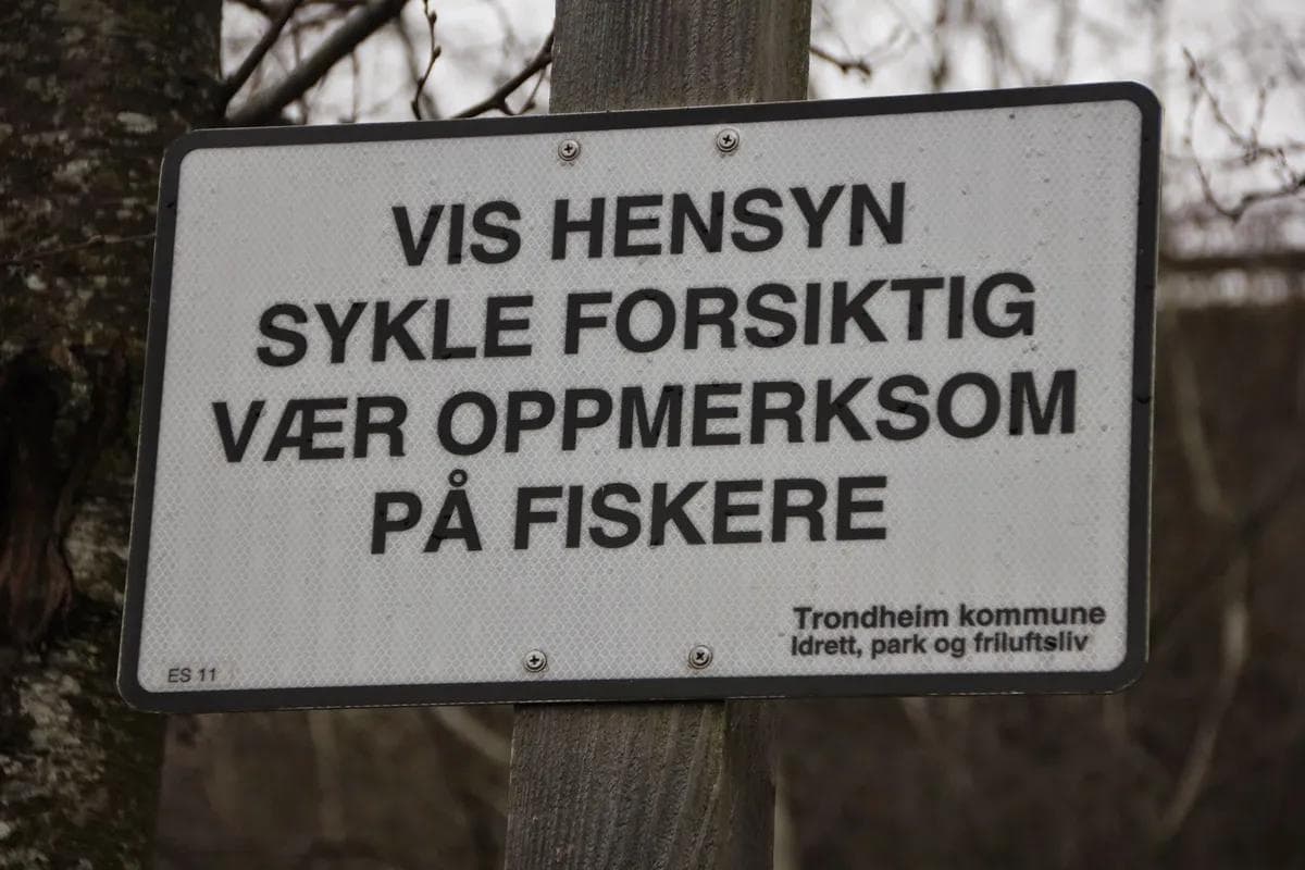 GS Trondheim Nidelvstien-3-foto-nils-thommesen