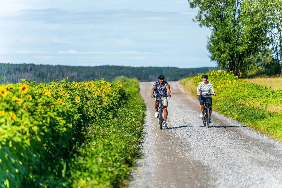 IØK - Den gylne linje - Askim trøgstad-01481