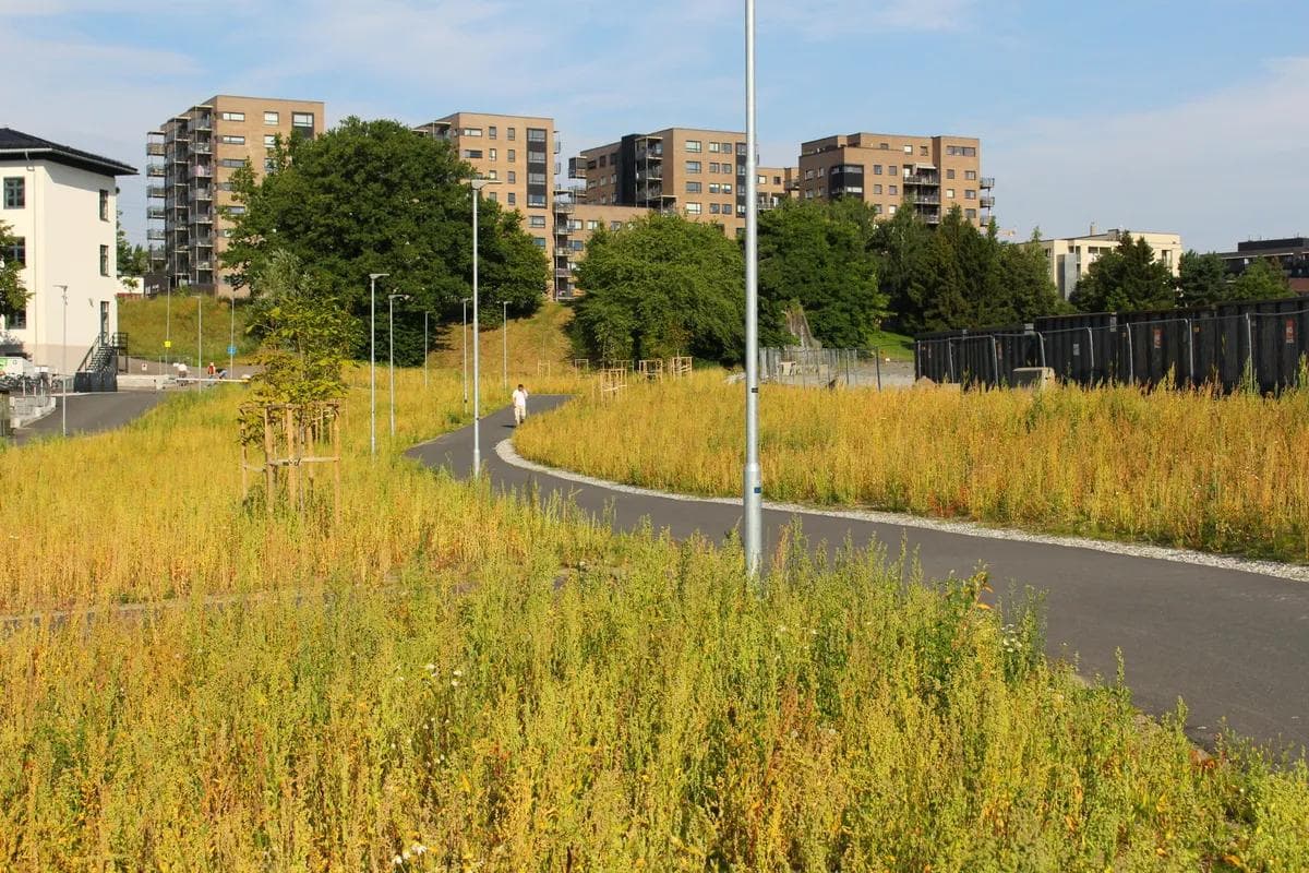 GS Oslo Bjerke-Økern-Hasle-Tøyenparken-3