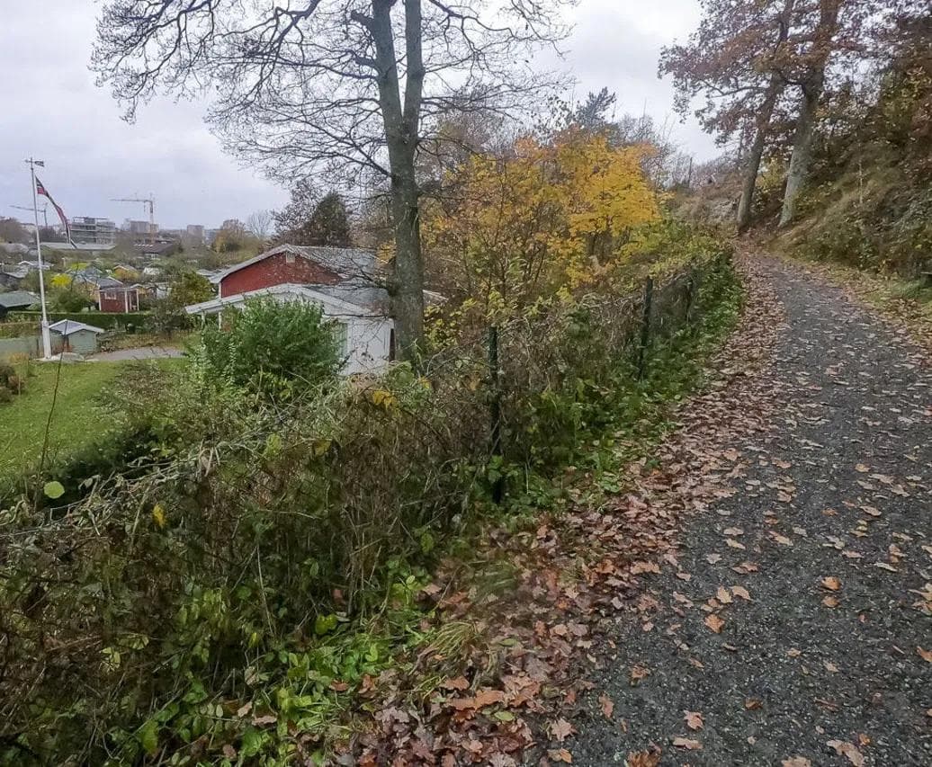 Museusruta i Kristiansand6_crop_Øyvind Wold